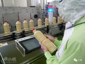 工作 上市食品工厂招聘长期小时工,日语无要求